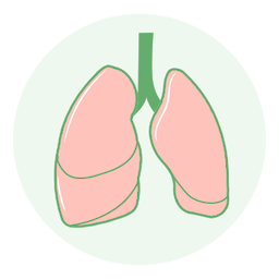 Lung